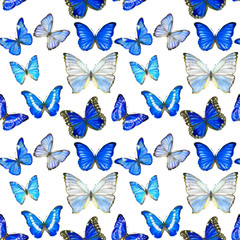 Hand drawn seamless pattern with butterflies Morpho on white