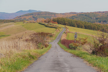 ニセコの紅葉 / 北海道京極町