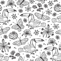 Mexico Nature Tropics. Birds. Vector floral background. Hand drawn doodle Toucan, butterflies, flowers.