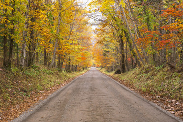 Fototapeta premium 紅葉の道 / 北海道千歳市 支笏湖畔
