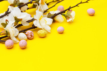 Branch of white flowers on yellow background with candy, easter chocolate eggs. Easter mock up. Minimalistic Spring background.