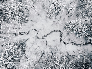 Aerial view of the forest and river at winter