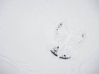 Snow angel made in the snow