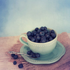 fresh blue berries
