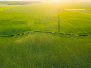 Drone shot of green agriculture fields in Lithuania