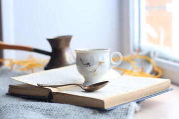 Fototapeta na wymiar Winter still-life of tea and book