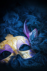 female carnival mask - obrazy, fototapety, plakaty