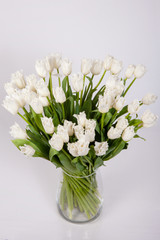 Bouquet Tulips spring flowers