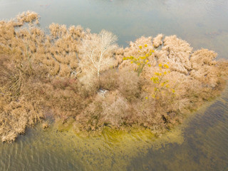 Aerial drone view. Grassy shore of a small island on a river in Kiev in late autumn. Dry grass...