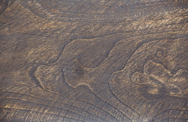 texture of bark wood use as natural background