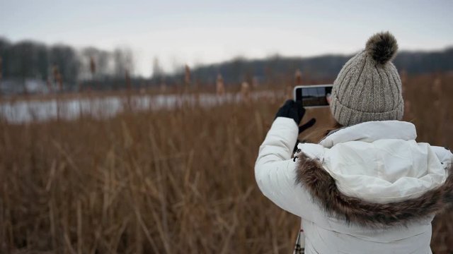 taking photos of cattails with smartphone in winter at Moraine Hills State Park in Illinois