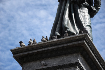 Pigeons (doves) at the foot of Adam Mickiewicz Monument, Kraków, Poland (Pomnik Adama Mickiewicza...