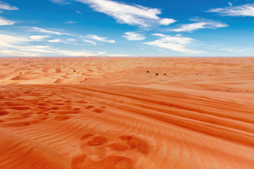 Fototapeta na wymiar Desert landscape and sand dunes