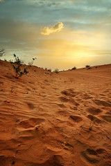 Desert sunset and sand dunes in Dubai