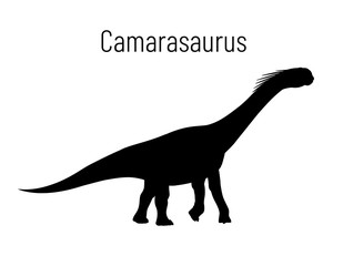 Camarasaurus. Sauropodomorpha dinosaur. Monochrome vector illustration of silhouette of prehistoric creature camarasaurus isolated on white background. Stencil. Huge fossil dinosaur.