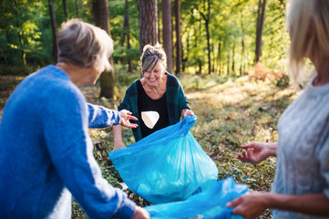 Naklejka na ściany i meble Senior women friends picking up litter outdoors in forest, a plogging concept.