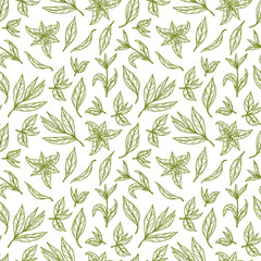 Hand drawn engraving style Green tea leaves Seamless pattern. Vector illustration