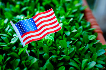 Concept of president day , American national flag 