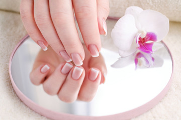 Nails with french manicure. Beautiful female hands with an orchid. Well-groomed skin and nails. Beauty and health concept.