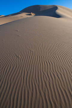 Drift sand dunes in the Gobi desert