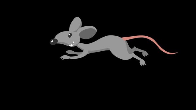 Looped animation of a running rat. Hand-drawn animation on a transparent background. 25 fps