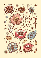 Vector Floral Set. Hand drawn doodle Vintage flowers, leaves, twigs, seeds. Floral flyer or brochure template.