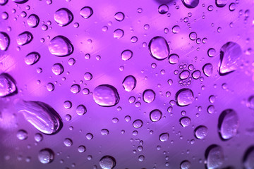 water drops on Pink background
