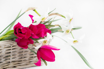 Bouquet of spring flowers in a basket on a light background, soft focus