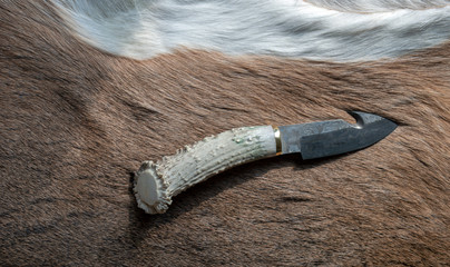 The concept of deer hunting with a photograph featuring a deer antler knife displayed on a...
