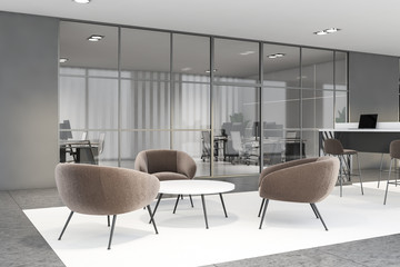 Modern company lounge area in gray