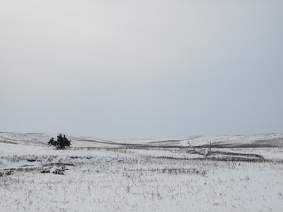 Frozen winter landscape with frost in North Dakota