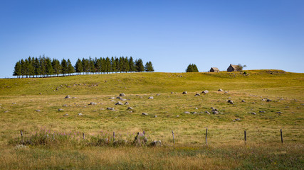 Fototapeta na wymiar View over the meadows in Aubrac near Nasbinals