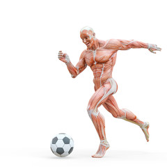 muscleman anatomy heroic body playing football in white background