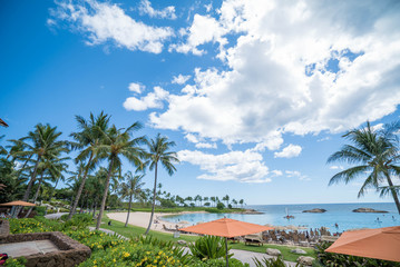 Fototapeta na wymiar The Summer Beach in Hawaii