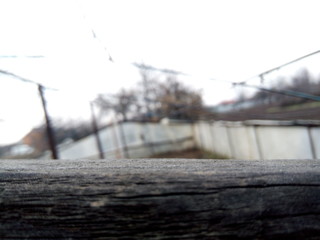 Wooden log in a greenhouse close-up at the cottage in winter