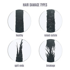 Types of hair damage 