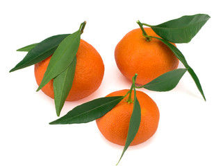 Ripe mandarins with leaves close-up on a white background.