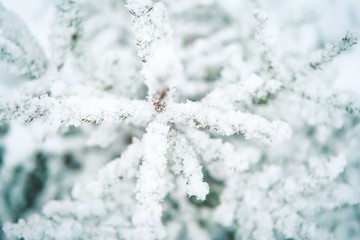 winter snow background