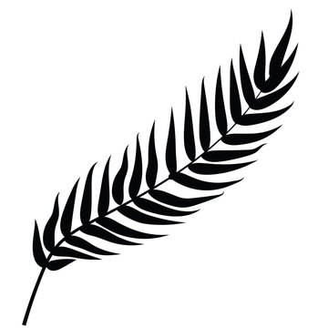 Black vector palm tree.