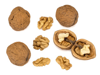 walnut and its parts isolated on a white background