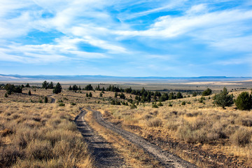 Dirt Road in the American West