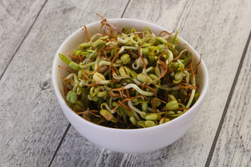 Mash bean sprout