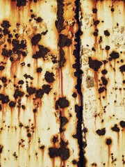 Processed with VSCO with l2 preset