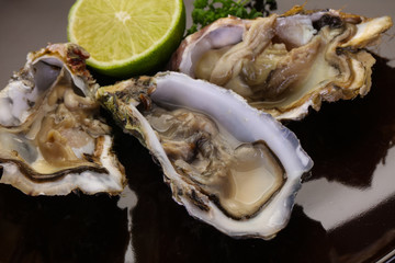 Oysters with lime and parsley