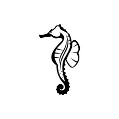 Fototapeta premium sea horse