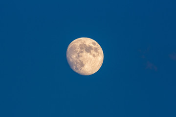 The Moon in the evening blue sky