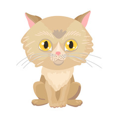 Big-headed kitten with yellow eyes, gray wool. Vector character
