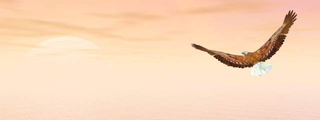 Naklejka na ściany i meble Bald eagle flying to the sun - 3D render