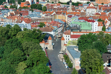 Old Town Tallinn, Estonia