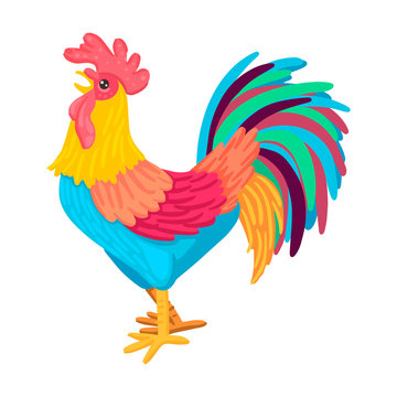 Morning rooster crows, bright plumage. Vector illustration of character on a white background.